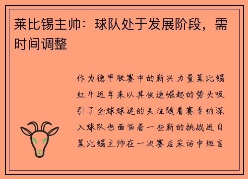 莱比锡主帅：球队处于发展阶段，需时间调整